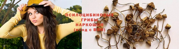 марки nbome Аркадак