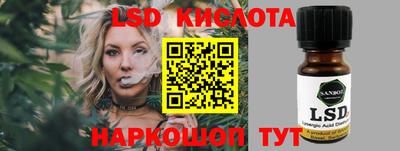 индика Бердск