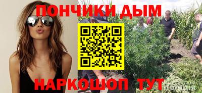 индика Бердск