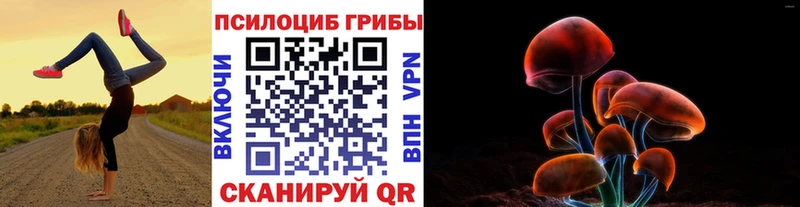 сайты даркнета Telegram  продажа наркотиков  omg ссылки  Богородицк  Галлюциногенные грибы MAGIC MUSHROOMS 