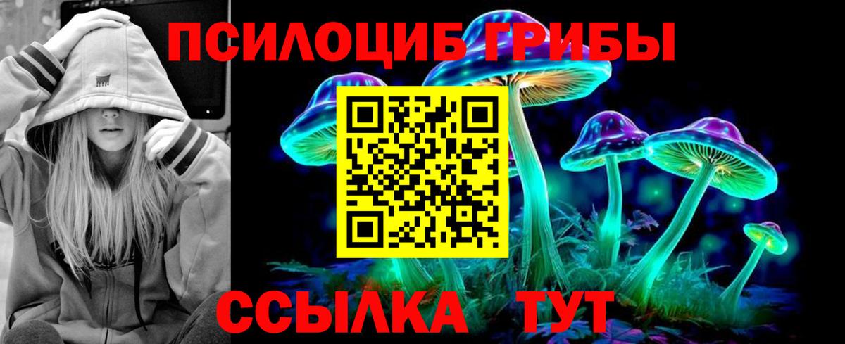 где найти   Вход с VPN  Богородицк  Галлюциногенные грибы ЛСД 