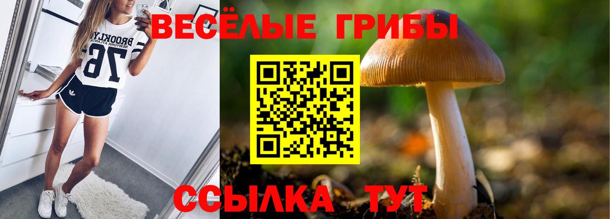 Галлюциногенные грибы ЛСД Богородицк